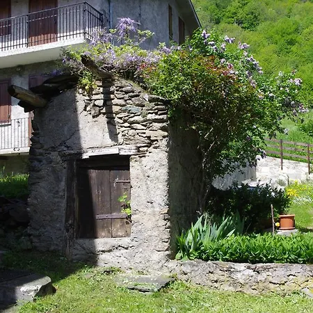 Scola Veja Bruzolo