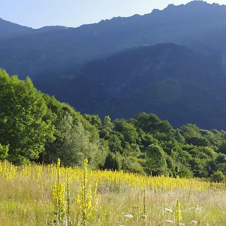Bed & Breakfast Scola Veja *